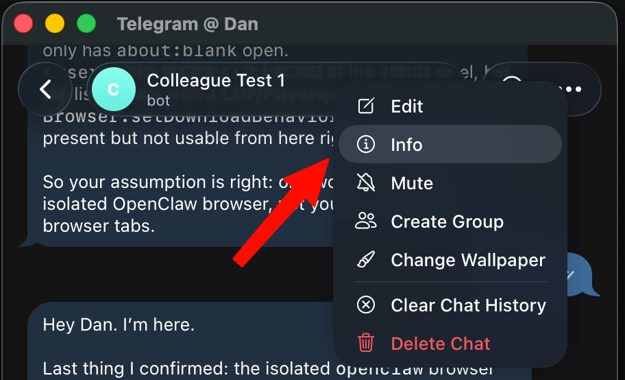 Open the Telegram bot menu and choose Info.
